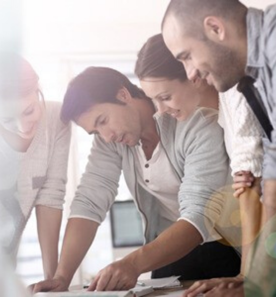 equipo quillosolutions Marketing